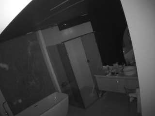 voyeurcam-casa-salsa-bathroom-4 - Live HD Webcam
