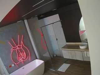 voyeurcam-casa-salsa-bathroom-4