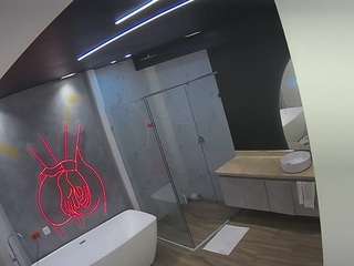 voyeurcam-casa-salsa-bathroom-4