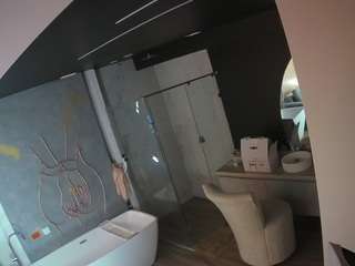voyeurcam-casa-salsa-bathroom-4