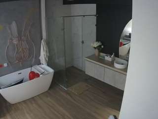voyeurcam-casa-salsa-bathroom-4