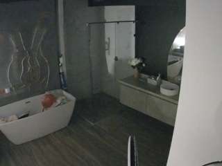 voyeurcam-casa-salsa-bathroom-4 Live Webcam on CamSoda