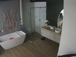 voyeurcam-casa-salsa-bathroom-4