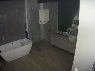 voyeurcam-casa-salsa-bathroom-4