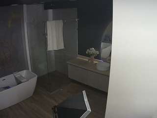 voyeurcam-casa-salsa-bathroom-4