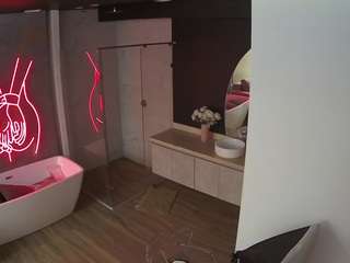 voyeurcam-casa-salsa-bathroom-4