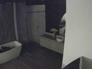 voyeurcam-casa-salsa-bathroom-4