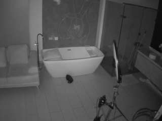 voyeurcam-casa-salsa-bathroom-4