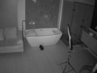 voyeurcam-casa-salsa-bathroom-4