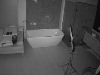 voyeurcam-casa-salsa-bathroom-4