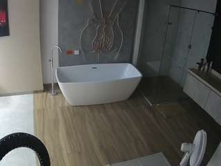 voyeurcam-casa-salsa-bathroom-4 - Live HD Webcam
