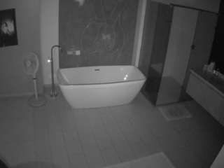 voyeurcam-casa-salsa-bathroom-4