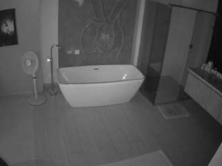Live stream of voyeurcam-casa-salsa-bathroom-4