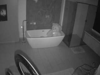 voyeurcam-casa-salsa-bathroom-4