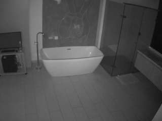 voyeurcam-casa-salsa-bathroom-4