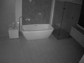 voyeurcam-casa-salsa-bathroom-4