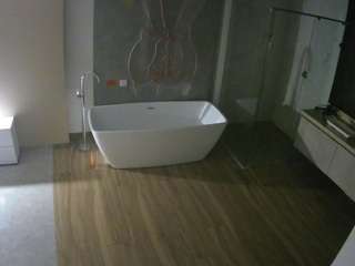 voyeurcam-casa-salsa-bathroom-4