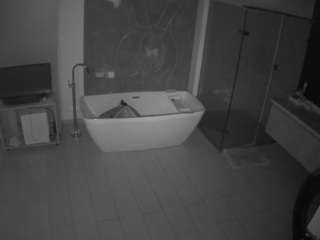 voyeurcam-casa-salsa-bathroom-4