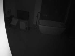 Casa Salsa Bathroom 4 live webcam show