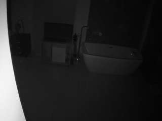 Casa Salsa Bathroom 4 live webcam show