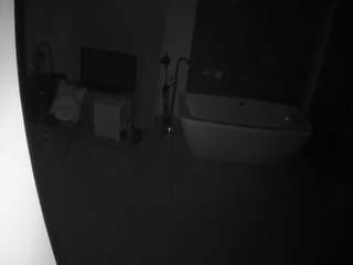 voyeurcam-casa-salsa-bathroom-4