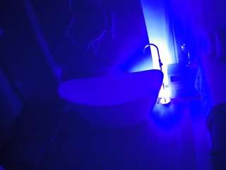 voyeurcam-casa-salsa-bathroom-5