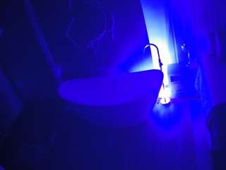 voyeurcam-casa-salsa-bathroom-5 Live Webcam on CamSoda