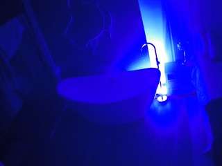 voyeurcam-casa-salsa-bathroom-5