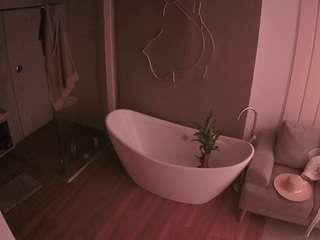 voyeurcam-casa-salsa-bathroom-5 live cam profile