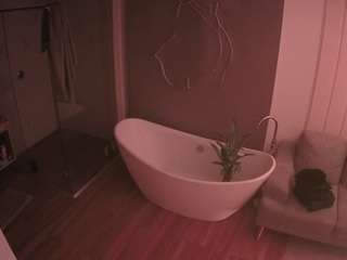 voyeurcam-casa-salsa-bathroom-5