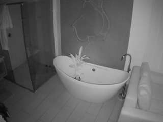 voyeurcam-casa-salsa-bathroom-5