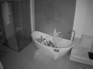 이 모델은 현재 라이브 중입니다. voyeurcam-casa-salsa-bathroom-5