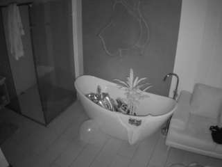 Dit model is nu live. voyeurcam-casa-salsa-bathroom-5