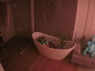 Acest model este live acum. voyeurcam-casa-salsa-bathroom-5