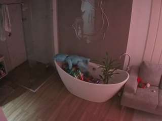 voyeurcam-casa-salsa-bathroom-5