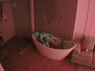 Ce modèle est en direct maintenant. voyeurcam-casa-salsa-bathroom-5