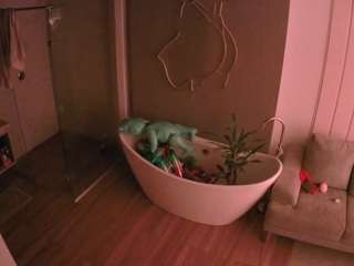 该模特正在直播。 voyeurcam-casa-salsa-bathroom-5