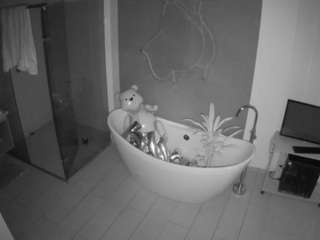 voyeurcam-casa-salsa-bathroom-5