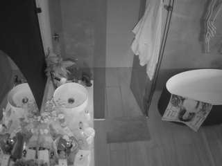 voyeurcam-casa-salsa-bathroom-6