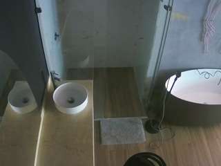voyeurcam-casa-salsa-bathroom-6 camsoda