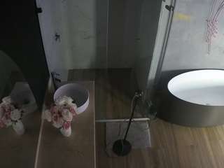 voyeurcam-casa-salsa-bathroom-6 Live Webcam on CamSoda