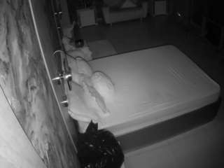 voyeurcam-casa-salsa-bathroom-6