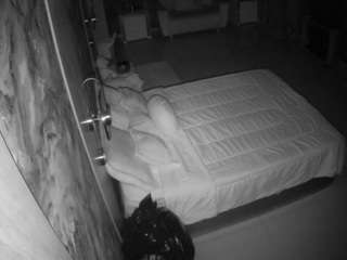 Casa Salsa Bathroom 6 live webcam show