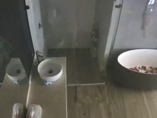 Casa Salsa Bathroom 6's Live Sex Cam Show