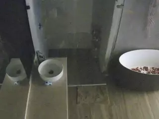 Casa Salsa Bathroom 6's Live Sex Cam Show