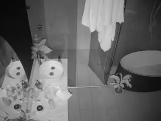 Casa Salsa Bathroom 6's Live Sex Cam Show