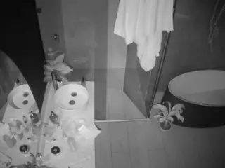 Casa Salsa Bathroom 6's Live Sex Cam Show