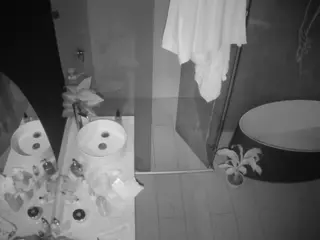 Casa Salsa Bathroom 6's Live Sex Cam Show