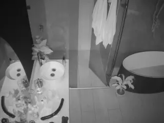 Casa Salsa Bathroom 6's Live Sex Cam Show