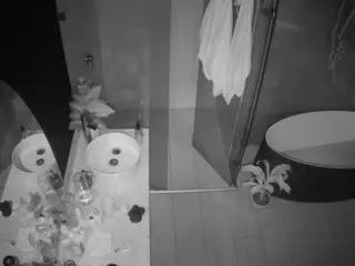 Casa Salsa Bathroom 6's Live Sex Cam Show